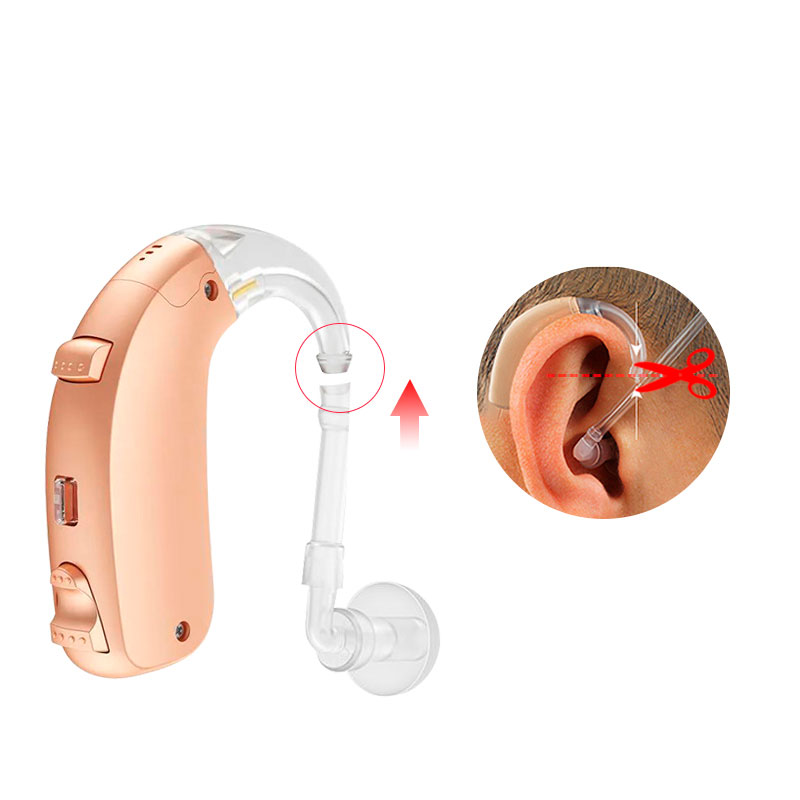 G26-слуховые аппараты5
