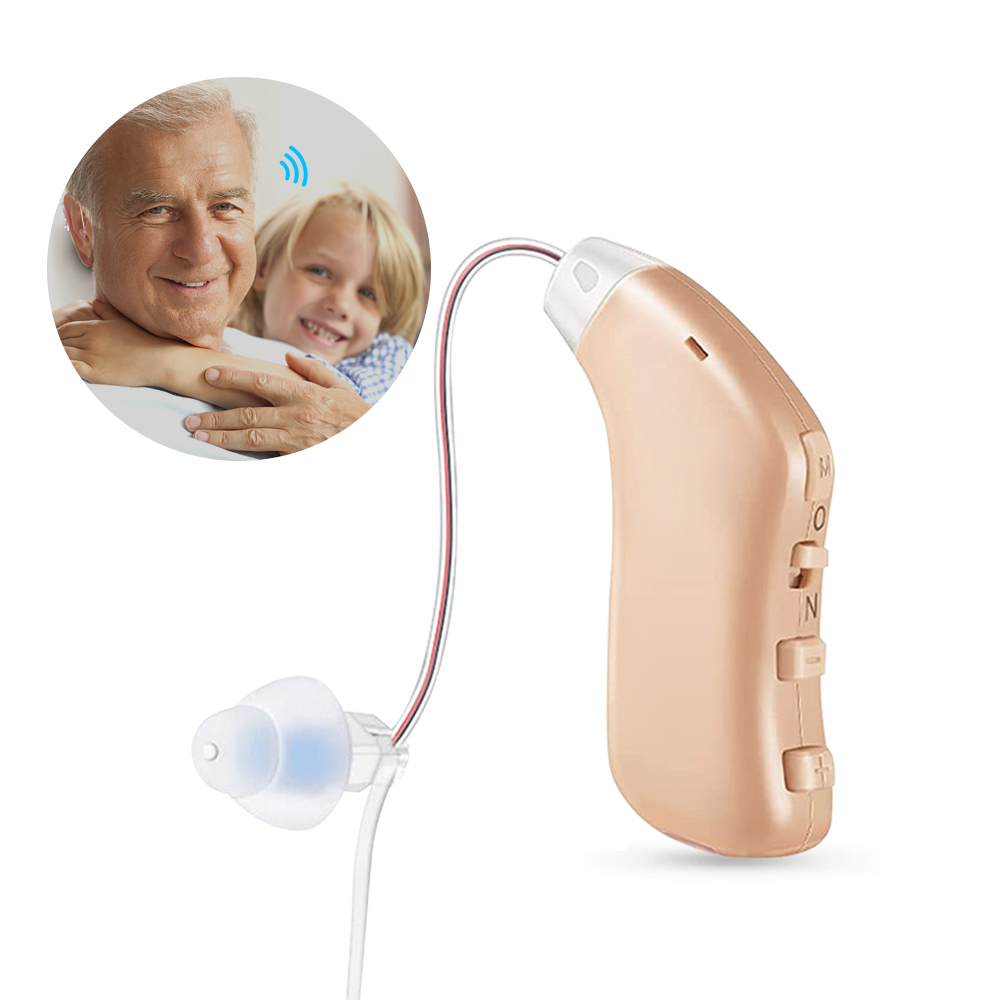 G28D hearing aids1