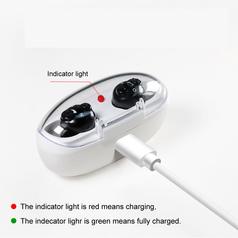 G17D-hearing-aids5