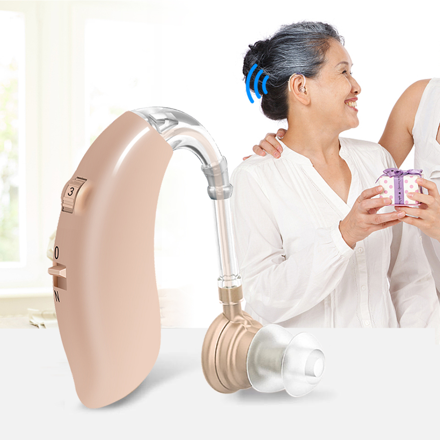 G20B hearing aids1