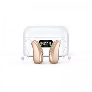 Great-Ears rechargeable G29 Bluetooth App control RIC digital magnetic charging behind the ear invisible wear hearing aids